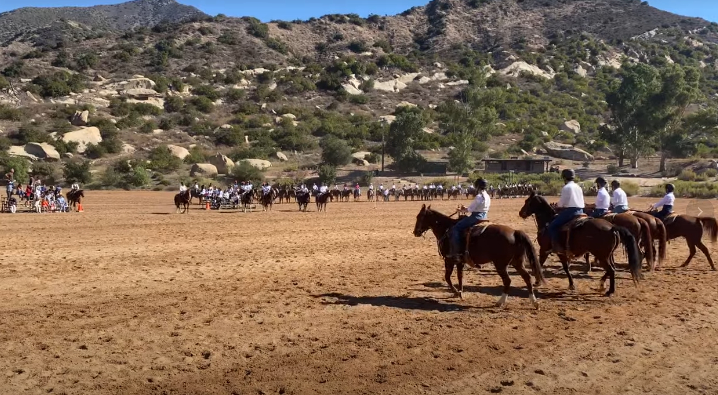 Volunteering Activity Video